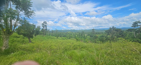 Twenty-Second image of Darliston in Darliston, Westmoreland, Jamaica - property is For Sale