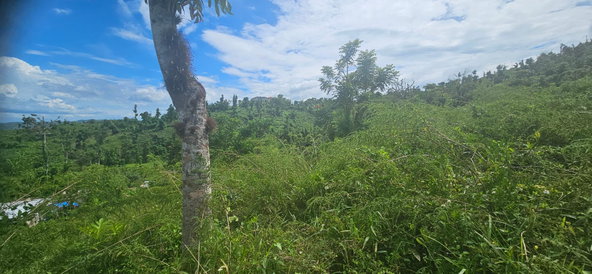 Twenty-Third image of Darliston in Darliston, Westmoreland, Jamaica - property is For Sale