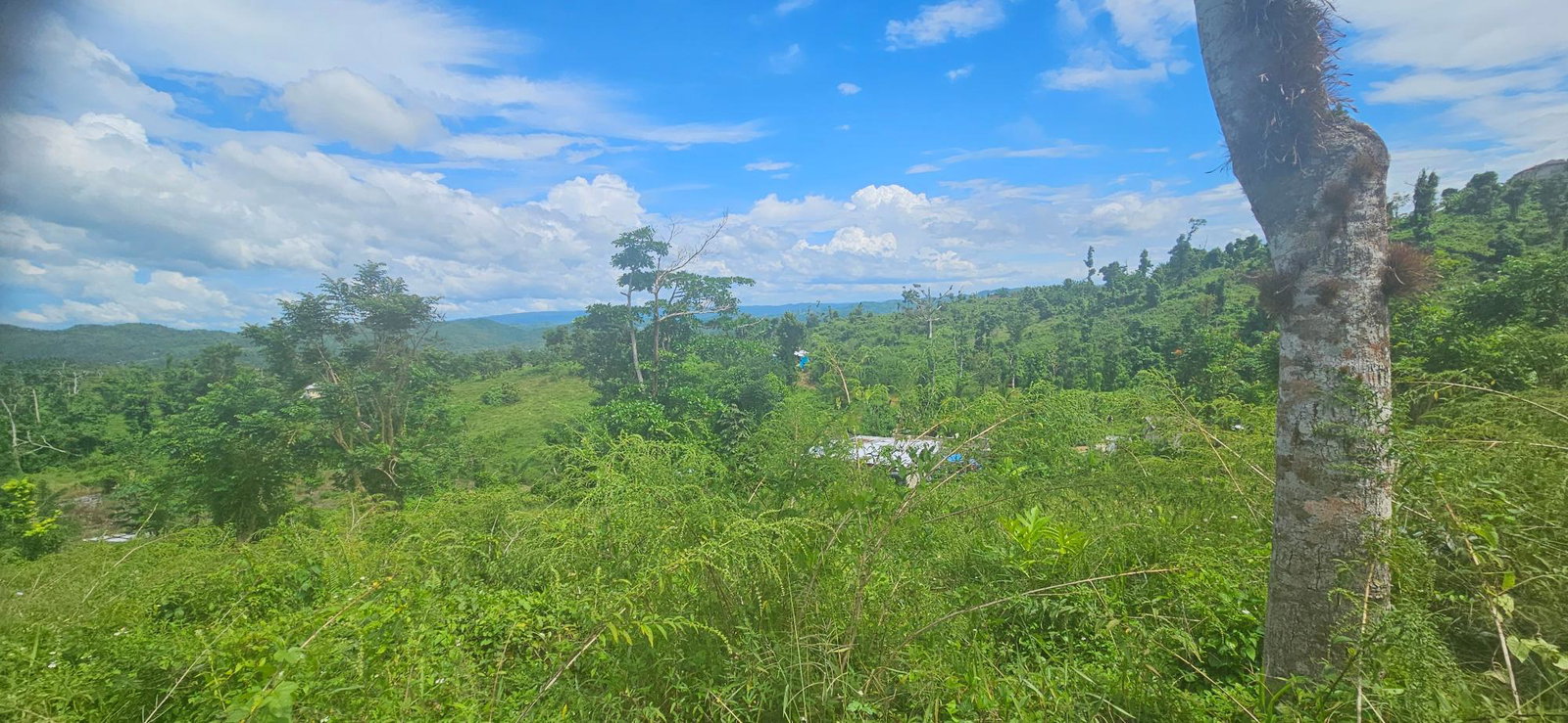 Twenty-Fourth image of Darliston in Darliston, Westmoreland, Jamaica - property is For Sale