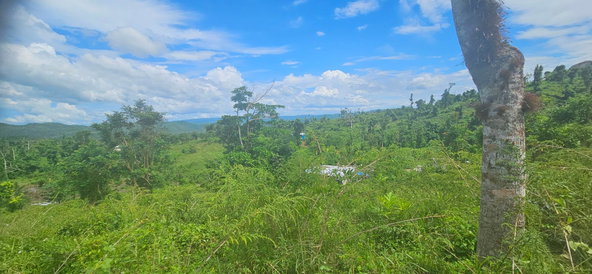 Twenty-Fourth image of Darliston in Darliston, Westmoreland, Jamaica - property is For Sale