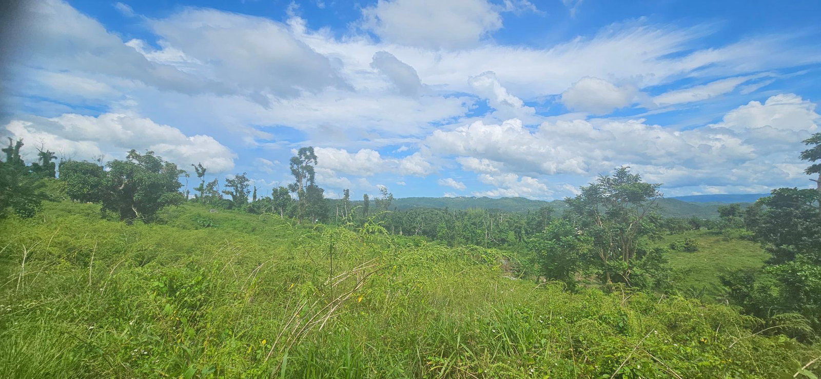Twenty-Fifth image of Darliston in Darliston, Westmoreland, Jamaica - property is For Sale