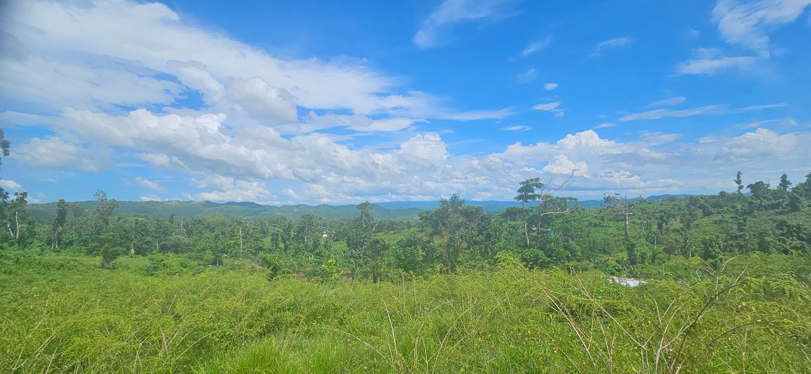 Twenty-Eighth image of Darliston in Darliston, Westmoreland, Jamaica - property is For Sale