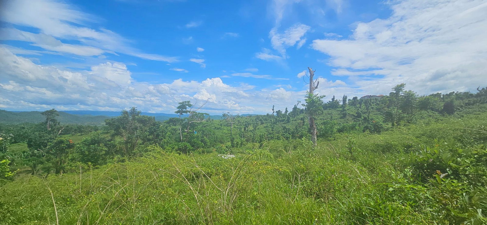 Twenty-Ninth image of Darliston in Darliston, Westmoreland, Jamaica - property is For Sale