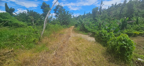 Third image of Darliston in Darliston, Westmoreland, Jamaica - property is For Sale