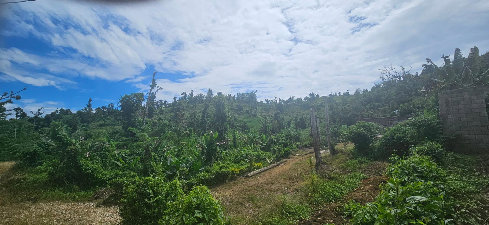 Fourth image of Darliston in Darliston, Westmoreland, Jamaica - property is For Sale