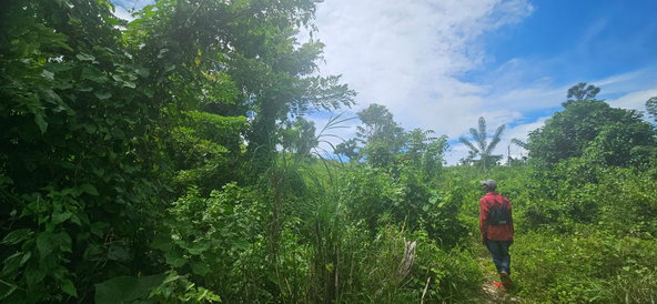 Seventh image of Darliston in Darliston, Westmoreland, Jamaica - property is For Sale