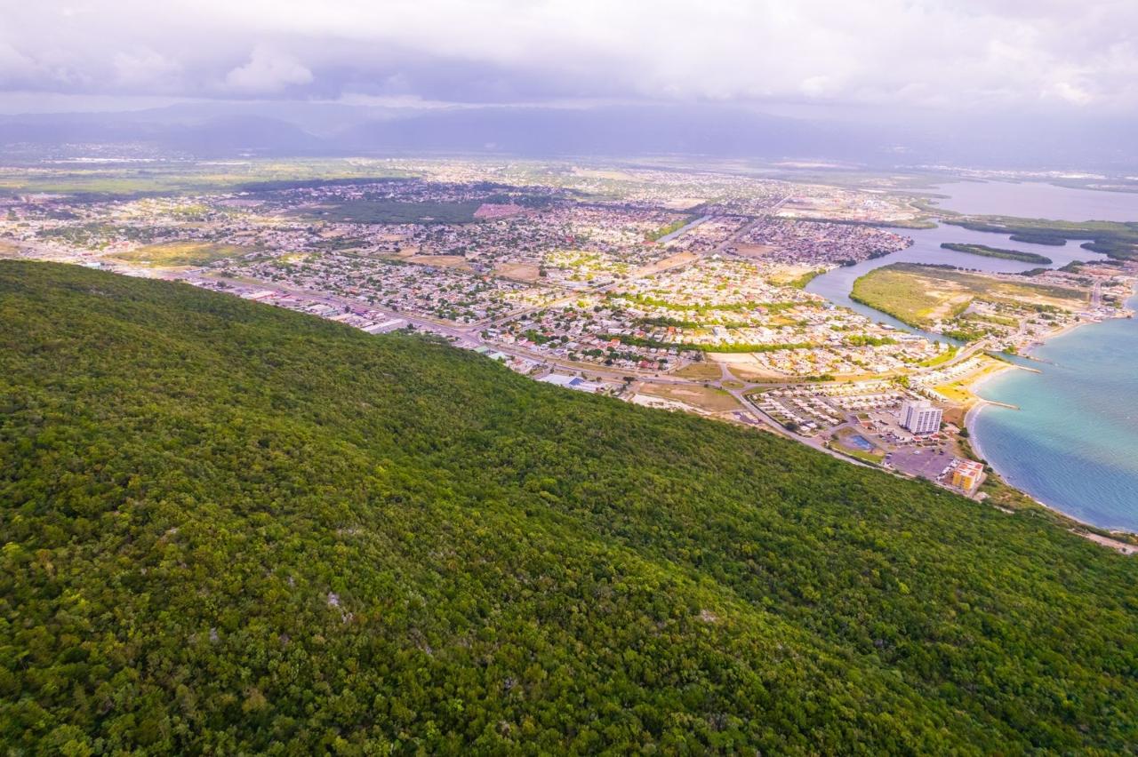 Fourteenth image of Land at Port Henderson in Port Henderson, St. Catherine, Jamaica - property is For Sale