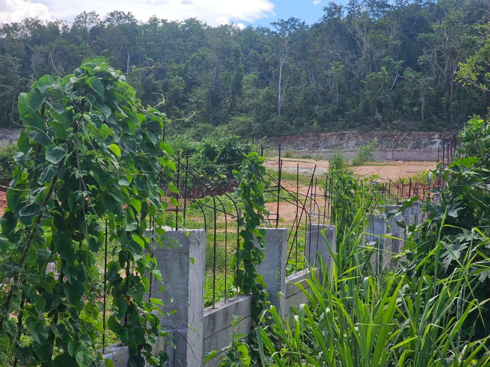 Second image of Lot 6 Cinnamon Hill Rosehall, m in Cinnamon Hill, St. James, Jamaica - property is For Sale