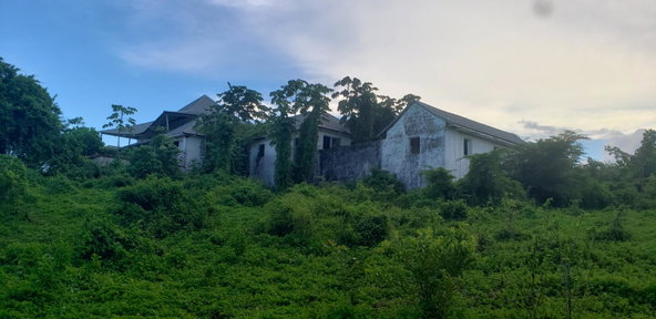 Tenth image of Snow Hill, Passley Garden in Snow Hill, Portland, Jamaica - property is For Sale