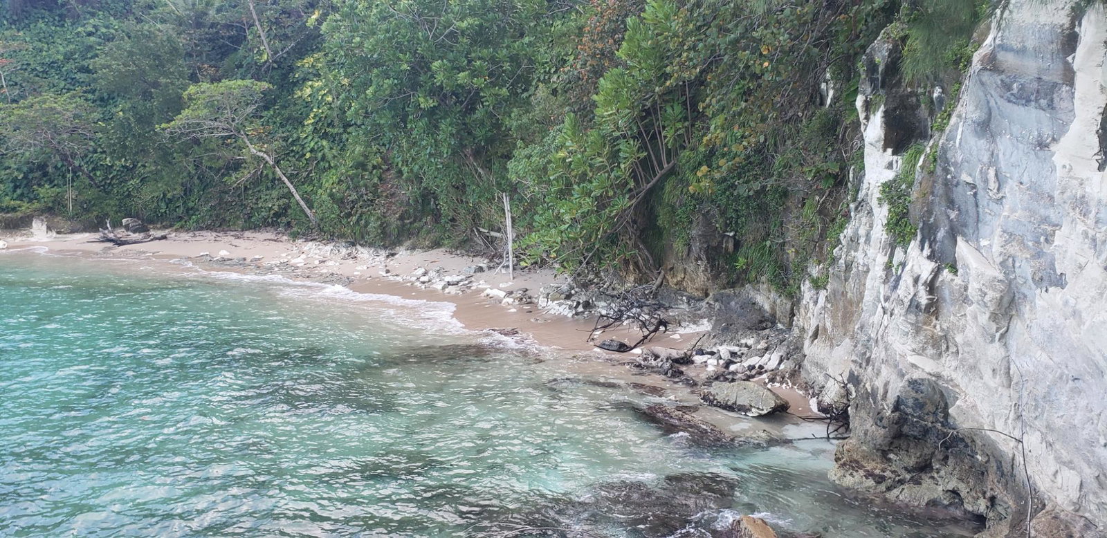 Eleventh image of Snow Hill, Passley Garden in Snow Hill, Portland, Jamaica - property is For Sale