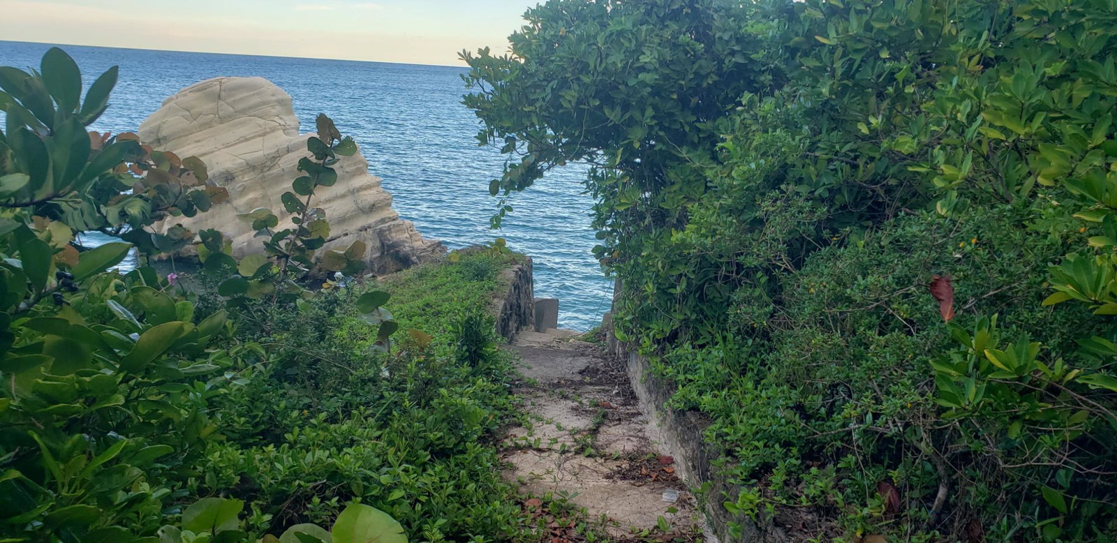 Twelfth image of Snow Hill, Passley Garden in Snow Hill, Portland, Jamaica - property is For Sale