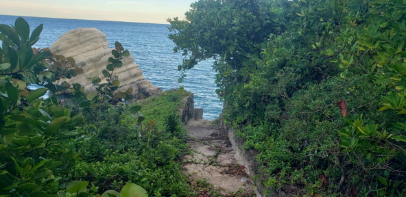 Twelfth image of Snow Hill, Passley Garden in Snow Hill, Portland, Jamaica - property is For Sale