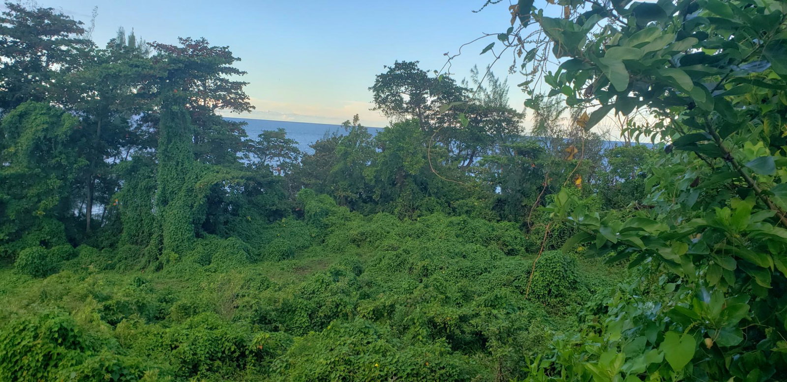 Thirteenth image of Snow Hill, Passley Garden in Snow Hill, Portland, Jamaica - property is For Sale