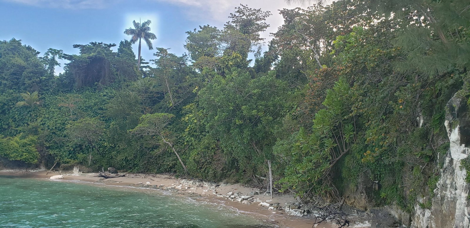 Fourth image of Snow Hill, Passley Garden in Snow Hill, Portland, Jamaica - property is For Sale