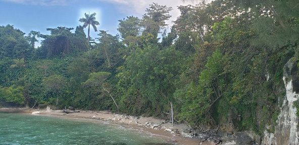 Fourth image of Snow Hill, Passley Garden in Snow Hill, Portland, Jamaica - property is For Sale