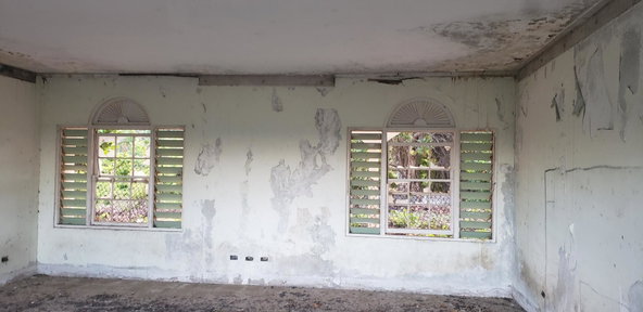 Eighth image of Snow Hill, Passley Garden in Snow Hill, Portland, Jamaica - property is For Sale