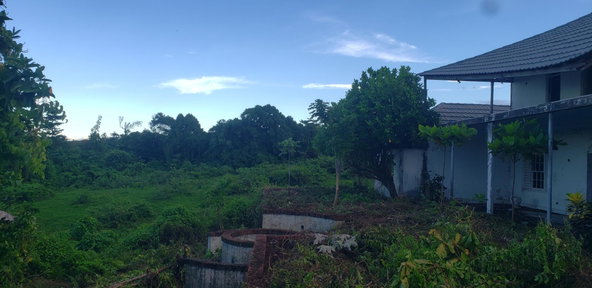 Ninth image of Snow Hill, Passley Garden in Snow Hill, Portland, Jamaica - property is For Sale
