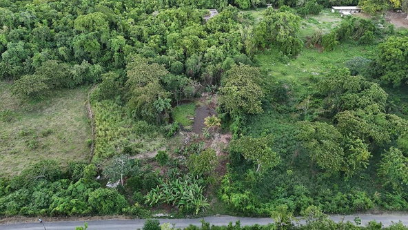 First image of Land- Harmony Hall And Lancaste in Duncans, Trelawny, Jamaica - property is For Sale