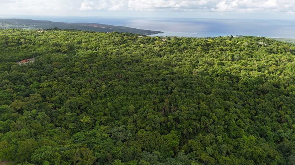 Tenth image of Land- Harmony Hall And Lancaste in Duncans, Trelawny, Jamaica - property is For Sale