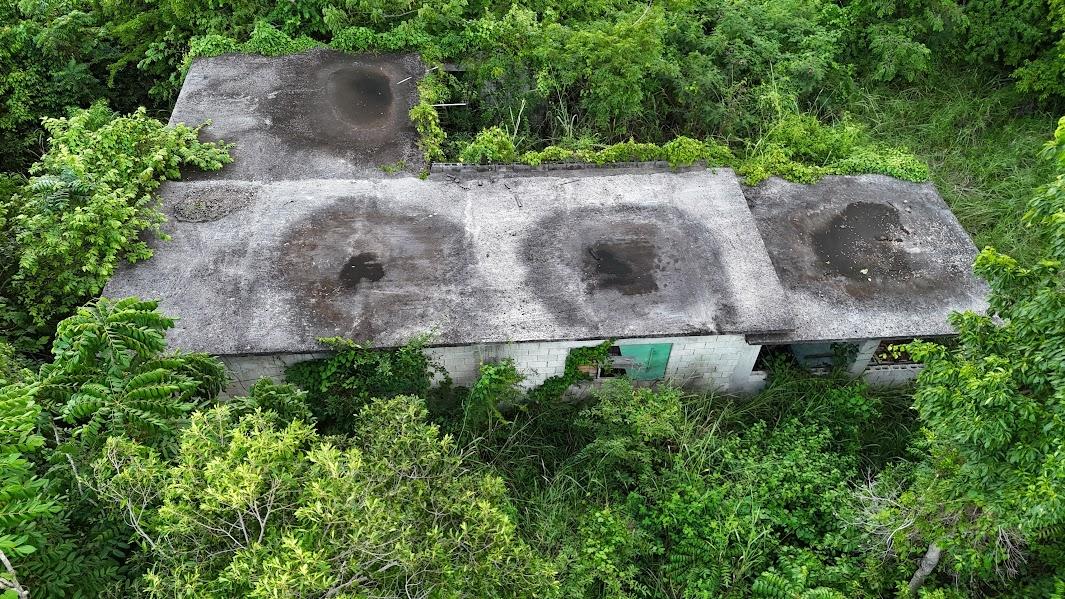 Eleventh image of Land- Harmony Hall And Lancaste in Duncans, Trelawny, Jamaica - property is For Sale