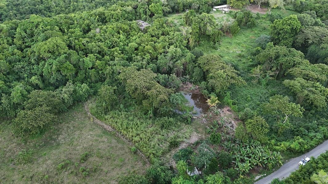 Thirteenth image of Land- Harmony Hall And Lancaste in Duncans, Trelawny, Jamaica - property is For Sale