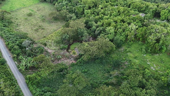Fourteenth image of Land- Harmony Hall And Lancaste in Duncans, Trelawny, Jamaica - property is For Sale