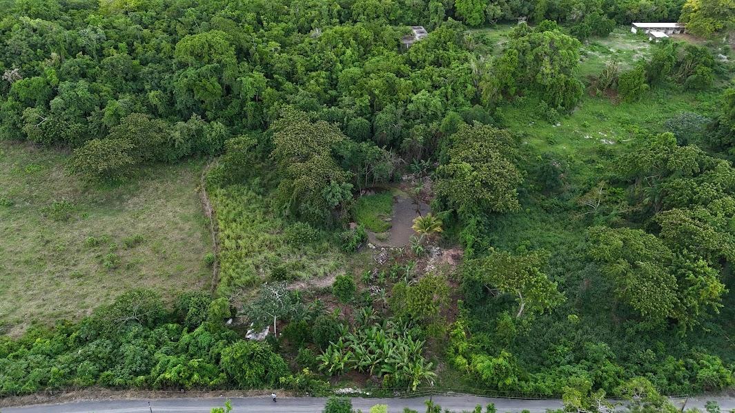 Fifth image of Land- Harmony Hall And Lancaste in Duncans, Trelawny, Jamaica - property is For Sale