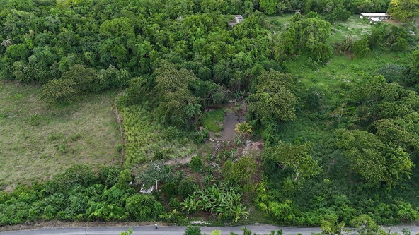 Fifth image of Land- Harmony Hall And Lancaste in Duncans, Trelawny, Jamaica - property is For Sale