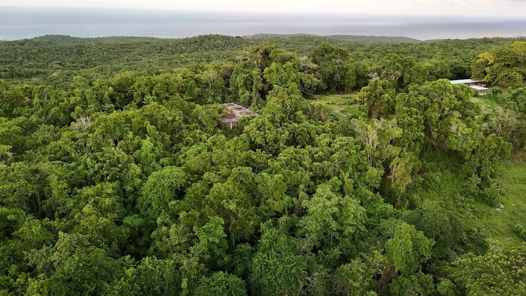 Sixth image of Land- Harmony Hall And Lancaste in Duncans, Trelawny, Jamaica - property is For Sale