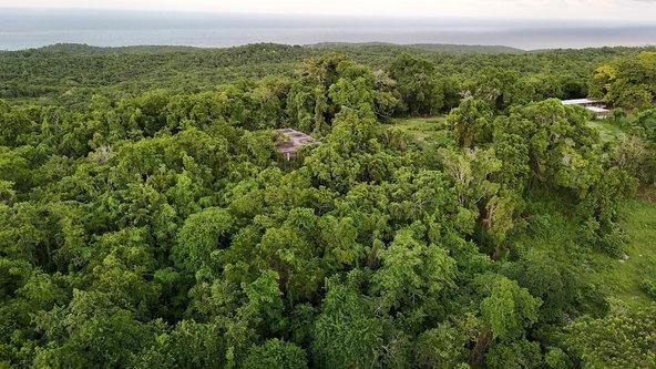 Sixth image of Land- Harmony Hall And Lancaste in Duncans, Trelawny, Jamaica - property is For Sale