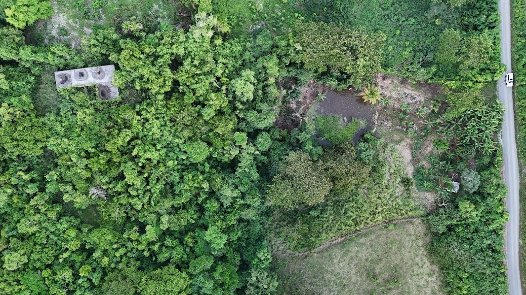 Seventh image of Land- Harmony Hall And Lancaste in Duncans, Trelawny, Jamaica - property is For Sale