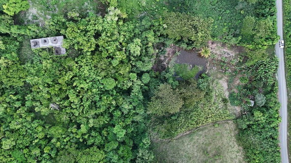 Seventh image of Land- Harmony Hall And Lancaste in Duncans, Trelawny, Jamaica - property is For Sale