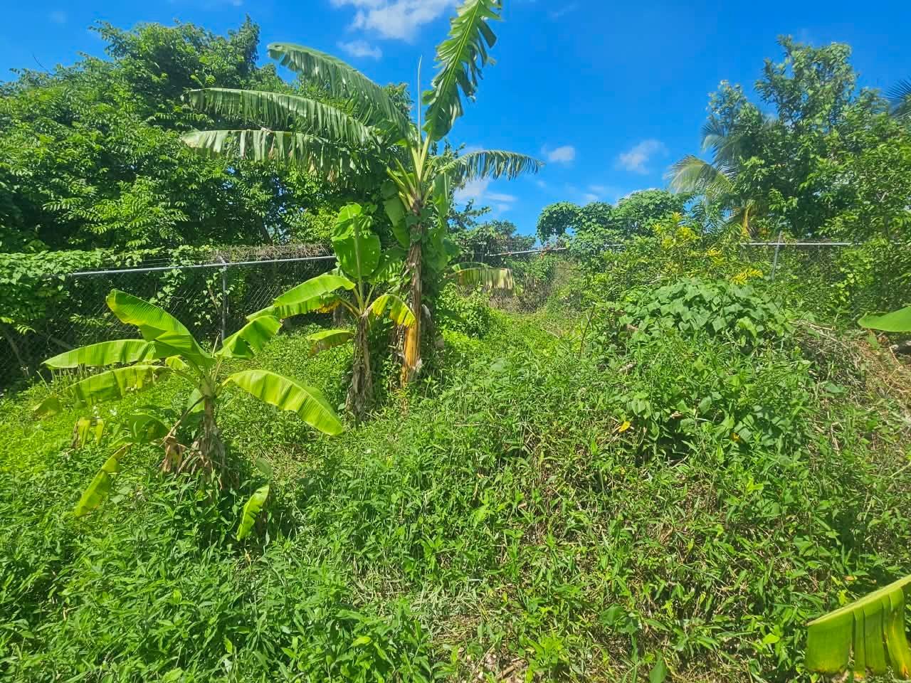 Twenty-Second image of Irwin Sign, Montego ba in Montego Bay, St. James, Jamaica - property is For Sale