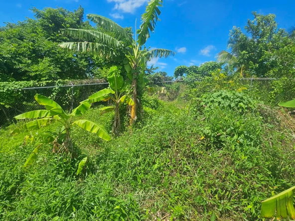 Twenty-Second image of Irwin Sign, Montego ba in Montego Bay, St. James, Jamaica - property is For Sale