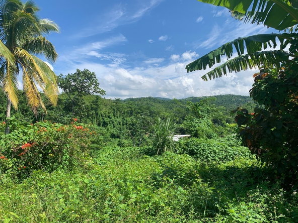 Third image of 5 Anchovy, St. James in Anchovy, St. James, Jamaica - property is For Sale