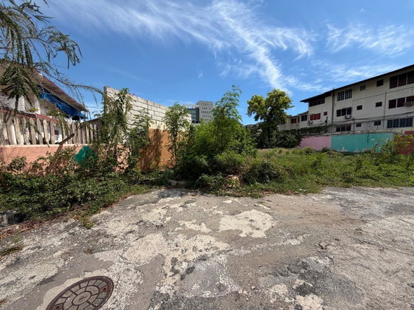 Eleventh image of 2 Altamont Terrace in Kingston 5, St. Andrew, Jamaica - property is For Sale