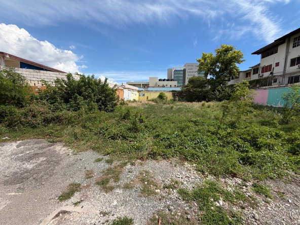 Ninth image of 2 Altamont Terrace in Kingston 5, St. Andrew, Jamaica - property is For Sale