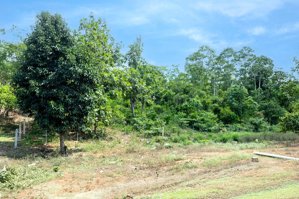 Thirteenth image of Washington Dr., Linstead in Rose Hall, St. Catherine, Jamaica - property is For Sale