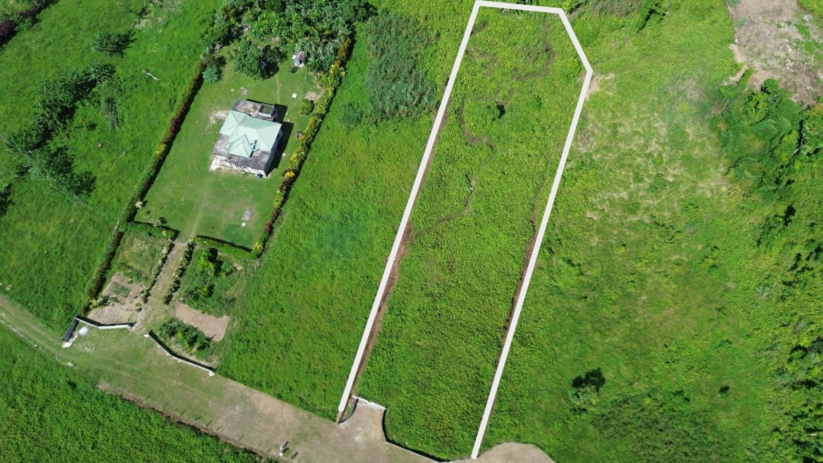 First image of Lot 3- Carmel in Carmel, Westmoreland, Jamaica - property is For Sale