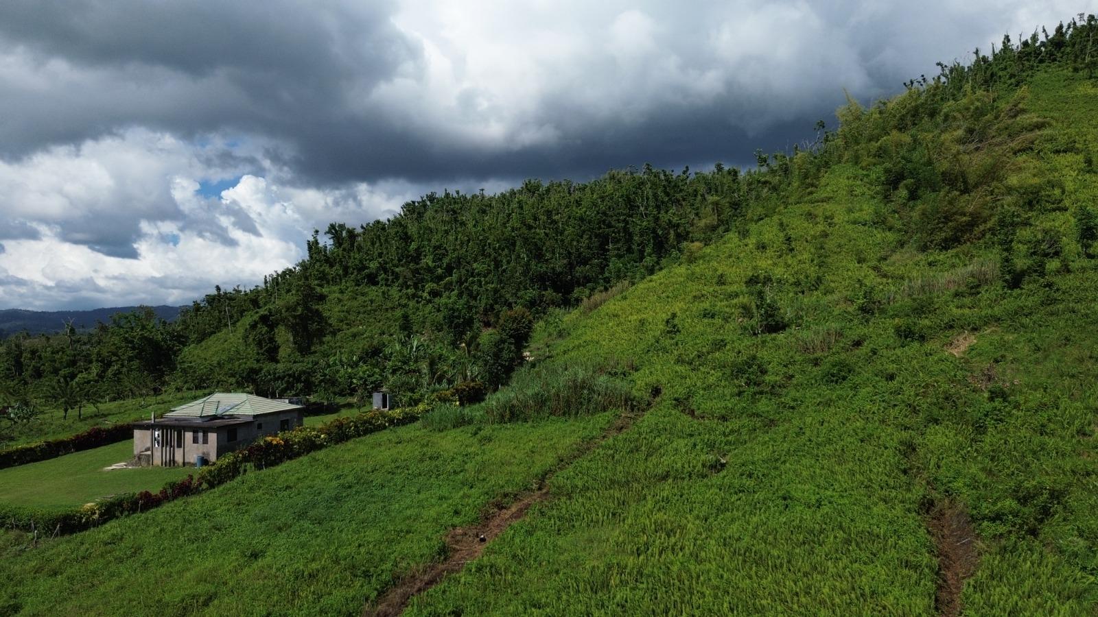 Fourth image of Lot 3- Carmel in Carmel, Westmoreland, Jamaica - property is For Sale