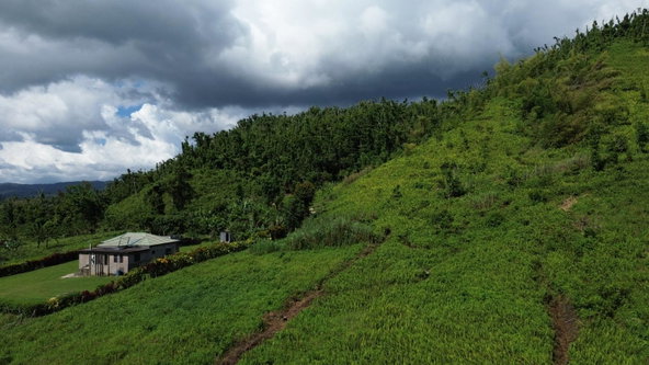Fourth image of Lot 3- Carmel in Carmel, Westmoreland, Jamaica - property is For Sale