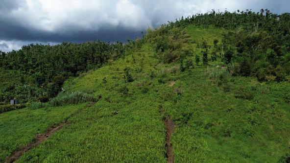 Fifth image of Lot 3- Carmel in Carmel, Westmoreland, Jamaica - property is For Sale