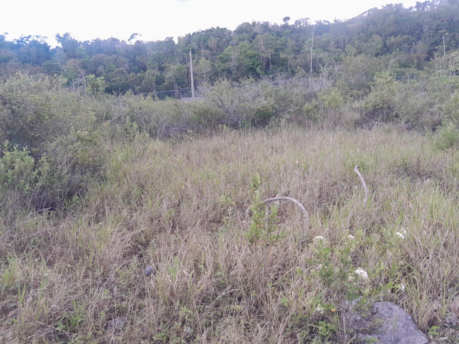 Seventh image of 29- Moorelands Manor in Moorlands Phase1&2, Manchester, Jamaica - property is For Sale