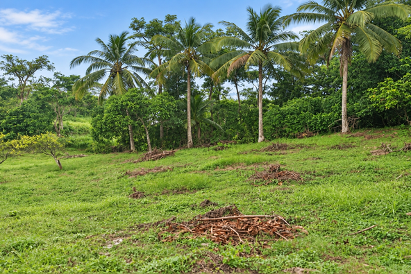 First image of Lot 1 Hyde Park, Knollis in Bog Walk, St. Catherine, Jamaica - property is For Sale