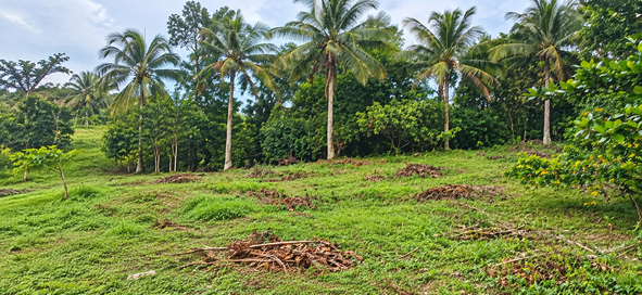 Third image of Lot 1 Hyde Park, Knollis in Bog Walk, St. Catherine, Jamaica - property is For Sale