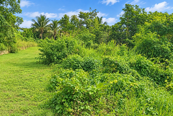 Fifth image of Lot 1 Hyde Park, Knollis in Bog Walk, St. Catherine, Jamaica - property is For Sale