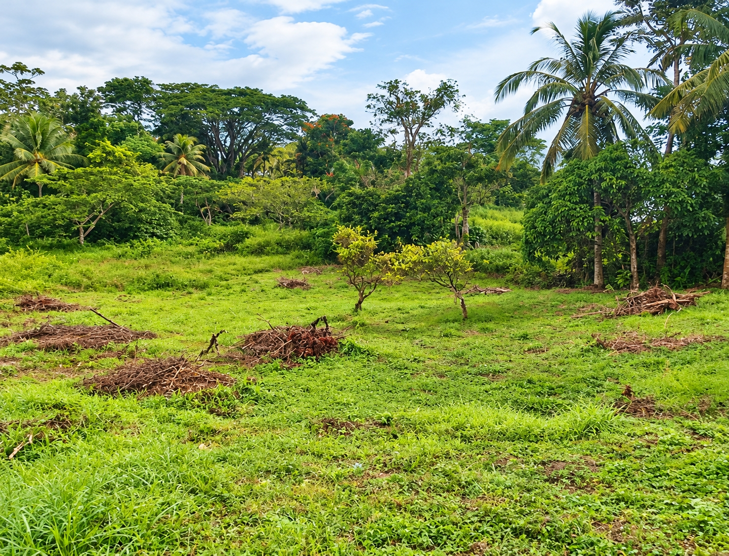 Sixth image of Lot 1 Hyde Park, Knollis in Bog Walk, St. Catherine, Jamaica - property is For Sale