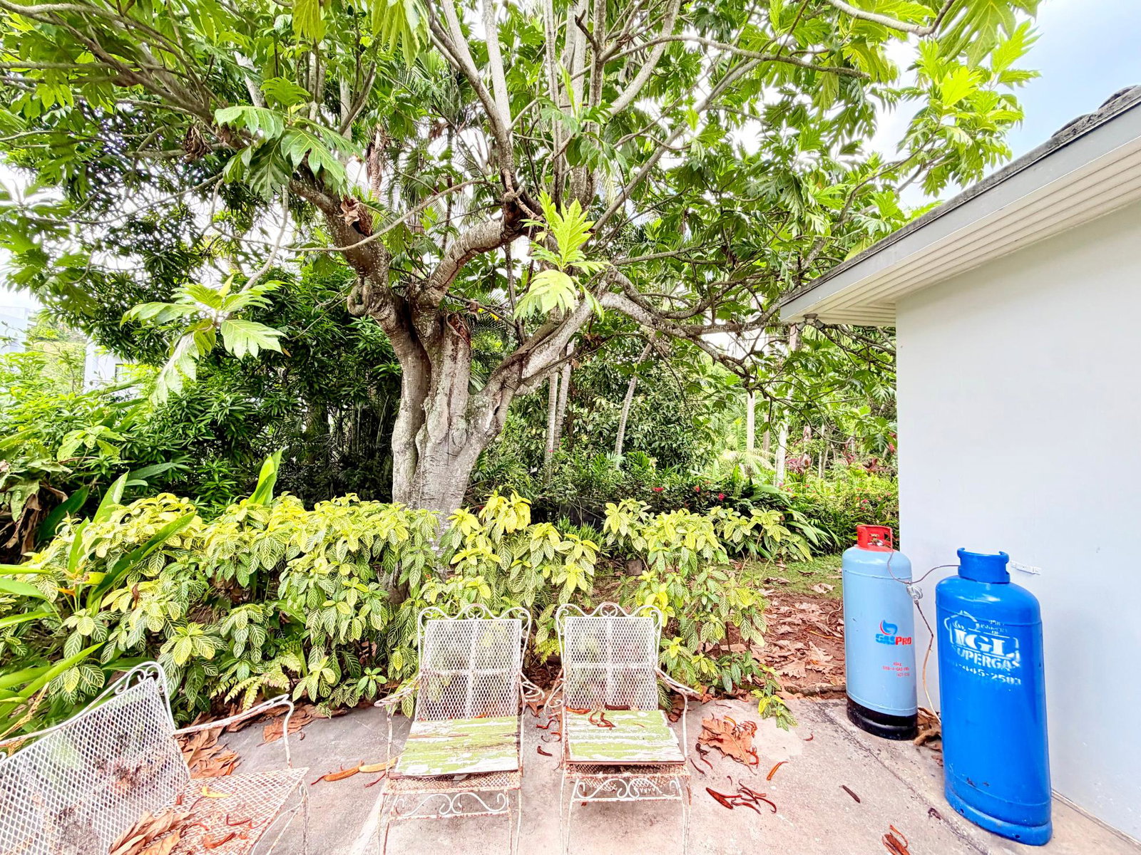 Fourteenth image of 3 Savoy Terrace in Kingston 8, St. Andrew, Jamaica - property is For Sale