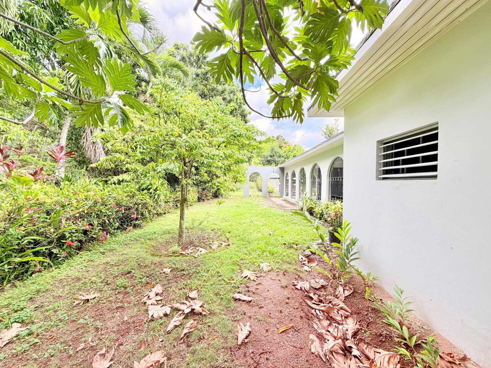 Fifth image of 3 Savoy Terrace in Kingston 8, St. Andrew, Jamaica - property is For Sale