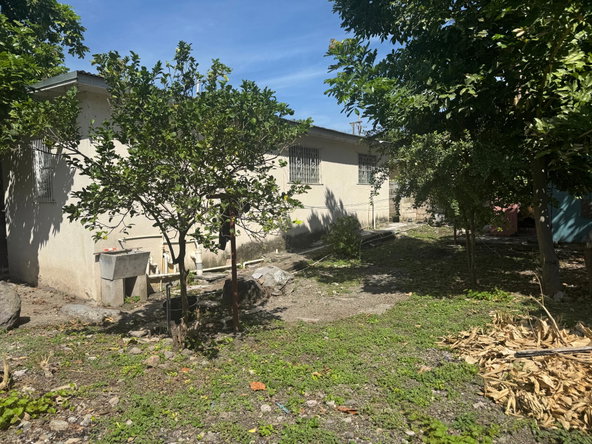 Twenty-Second image of 1 Tavern Crescent, Kingston in Kingston 6, St. Andrew, Jamaica - property is For Sale